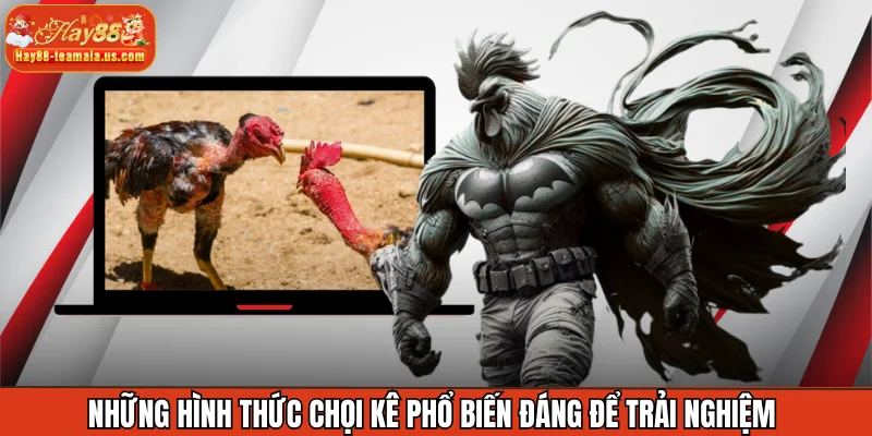 Những hình thức chọi kê phổ biến đáng để trải nghiệm 