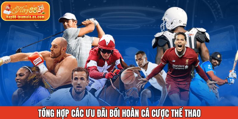 Chương trình bồi hoàn cược tốt nhất cho sảnh thể thao tại Hay88