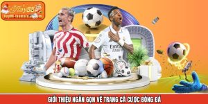 Thông tin tổng quan cho thành viên mới tìm hiểu